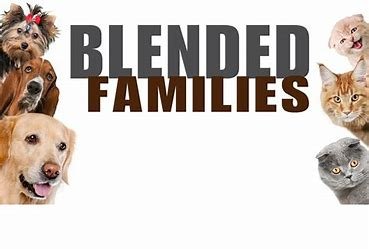 Blending families after remarriage involves open communication, setting clear expectations, building relationships gradually, and respecting each family member’s feelings. Prioritize creating shared experiences, maintain patience, and encourage unity while allowing time for adjustment and growth.